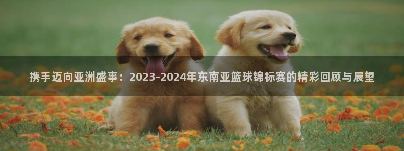  意昂2体育在线平台登录：携手迈向亚洲盛事：2023-2024