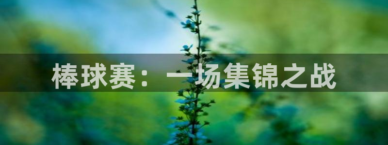 意昂2体育官方网站：棒球赛：一场集锦