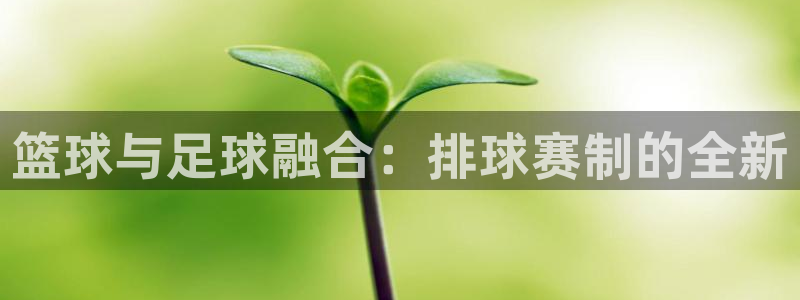 意昂2如何注册开户：篮球与足球融合：