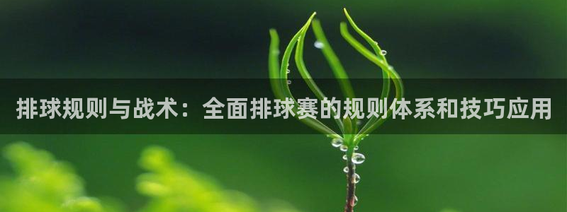 意昂2平台注册：排球规则与战术：全面