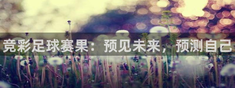  意昂2登录地址：竞彩足球赛果：预见未来，预测自己