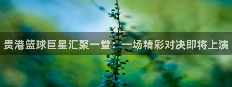 意昂2：贵港篮球巨星汇聚一堂：一场精