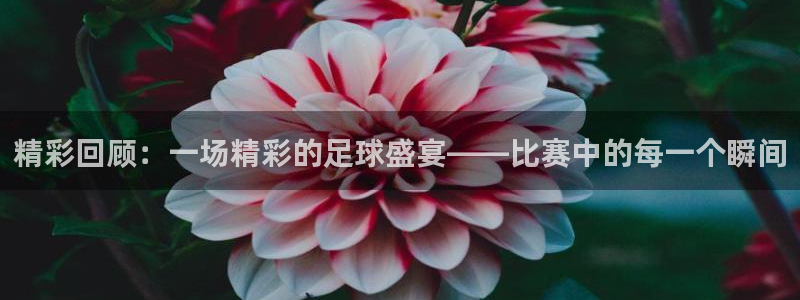 意昂2登录：精彩回顾：一场精彩的足球