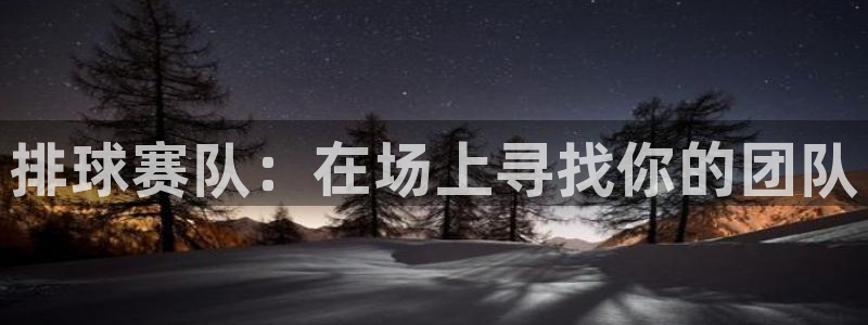  意昂2官网：排球赛队：在场上寻找你的团队