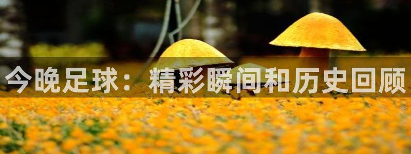 意昂2官网：今晚足球：精彩瞬间和历史