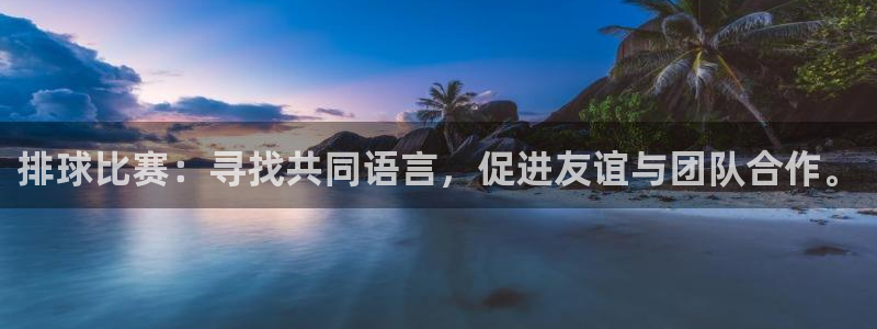  意昂2开户：排球比赛：寻找共同语言，促进友谊与团队合作。
