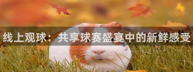意昂2官网：线上观球：共享球赛盛宴中