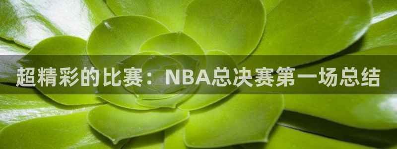 意昂2：超精彩的比赛：NBA总决赛第
