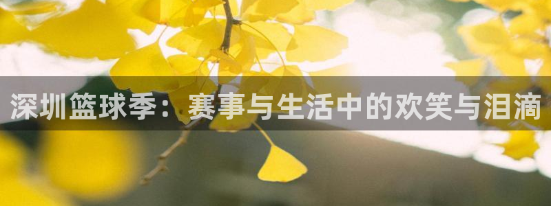 意昂2意昂2平台：深圳篮球季：赛事与