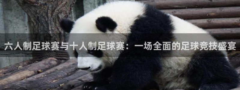  意昂2体育在线平台登录：六人制足球赛与十人制足球赛：一场全面