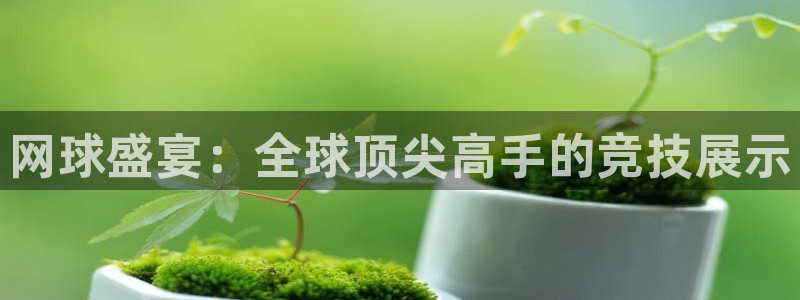 意昂2：网球盛宴：全球顶尖高手的竞技展示