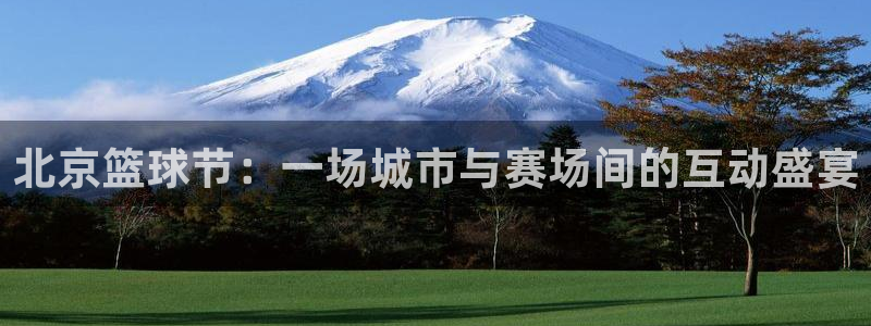  意昂2体育在线平台登录：北京篮球节：一场城市与赛场间的互动盛