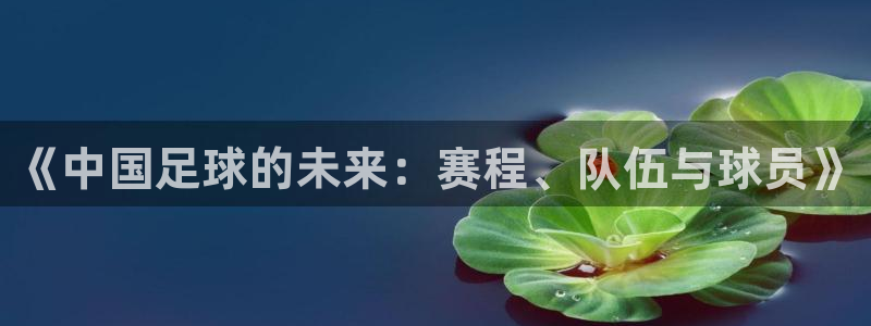  意昂2官方网站：《中国足球的未来：赛程、队伍与球员》