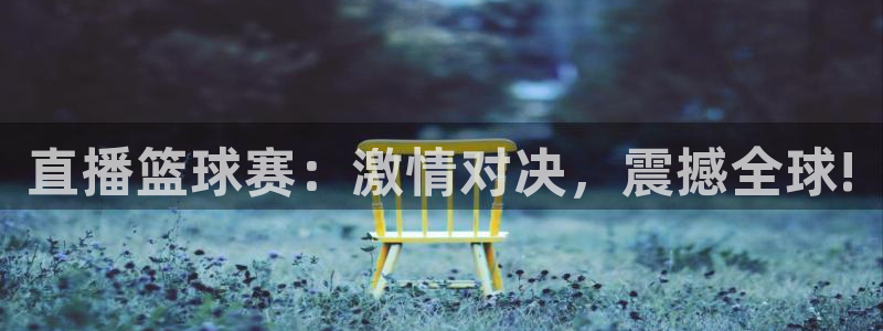  意昂2平台登录：直播篮球赛：激情对决，震撼全球!