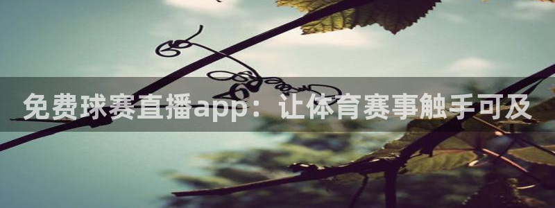 意昂2代理注册：免费球赛直播app：