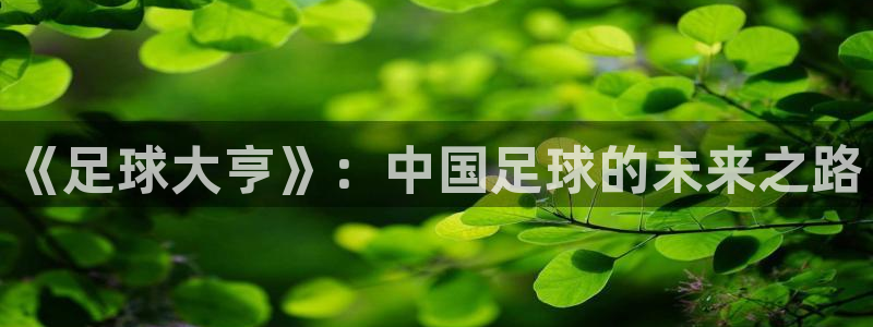 意昂2体育平台：《足球大亨》：中国足球的未来之路