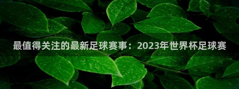 意昂2代理注册：最值得关注的最新足球