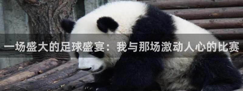 意昂2登录地址：一场盛大的足球盛宴：我与那场激动人心的比赛