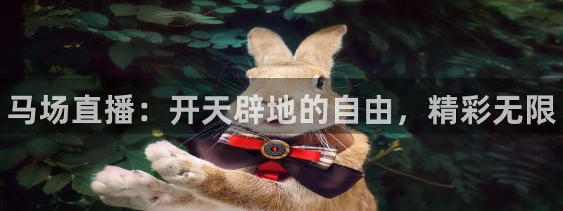 鲸鱼体育app官网版：马场直播：开天辟地的自由，精彩无限