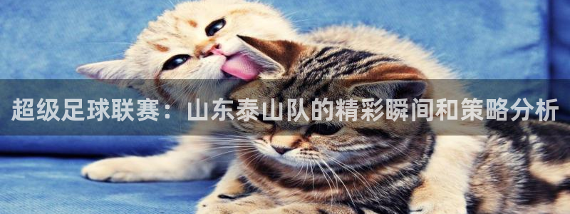 鲸鱼体育nba68.tv：超级足球联赛：山东泰山队的精彩瞬间和策略分析